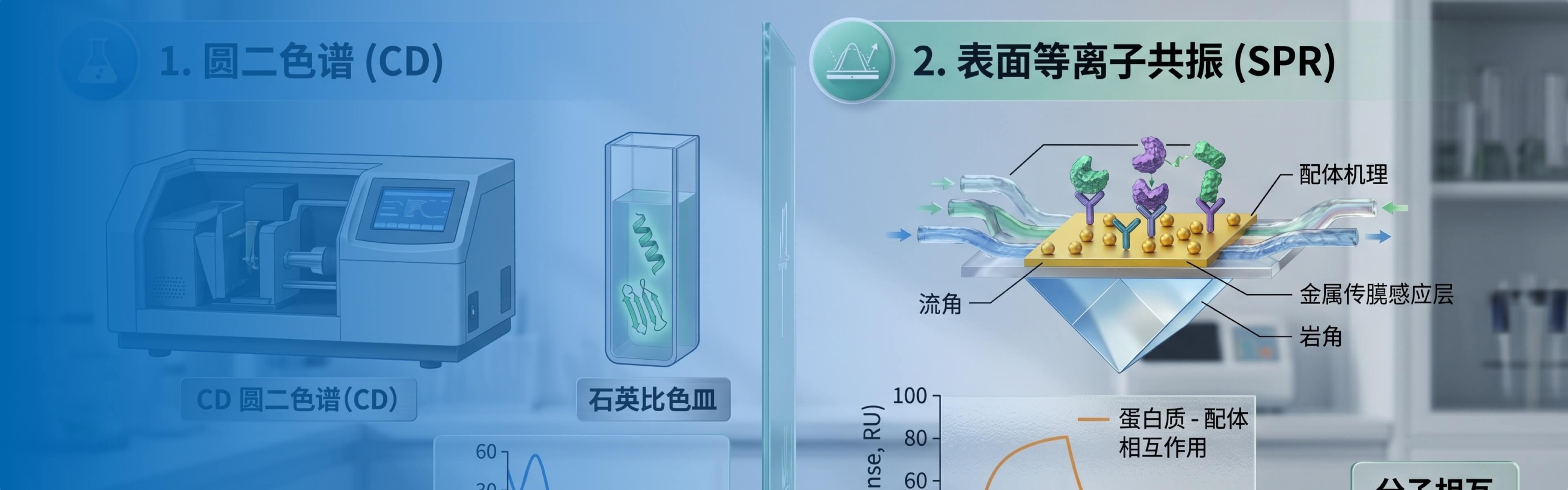 MST (Microscale Thermophoresis) Analysis